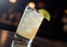 Mexican Mule